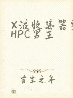X液收集器系统HPC男主