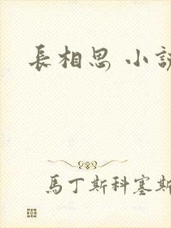 长相思 小说