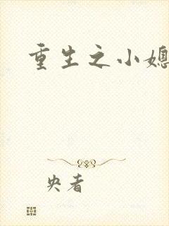 重生之小媳妇封面