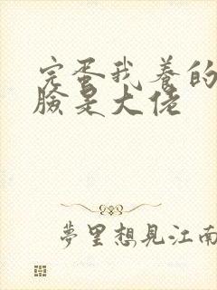 完蛋我养的小白脸是大佬