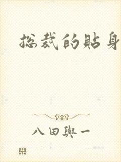 总裁的贴身女佣