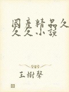 国产精品久久久久久小说