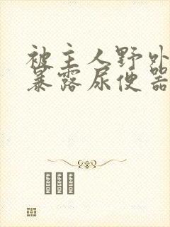 被主人野外调教暴露尿便器封面