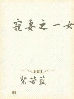 宠妻之一女二夫封面