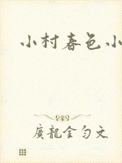 小村春色小说封面