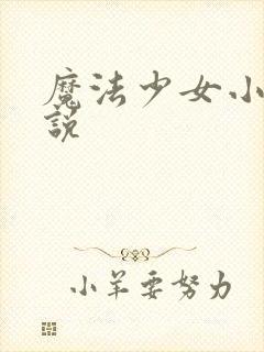 魔法少女小圆小说
