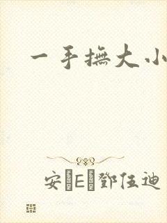 一手抚大小说