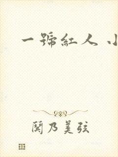 一号红人 小说