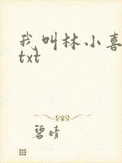 我叫林小喜小说txt封面
