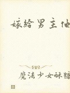 嫁给男主他爹