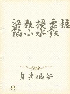 梁教授要稳住肉馅小水饺