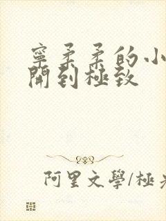 宁柔柔的小泬撑开到极致封面