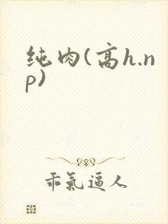 纯肉(高h.np)封面