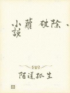 小萝 破除 小说