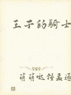 王子的骑士小说