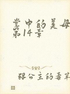 掌中的美母版主第14章