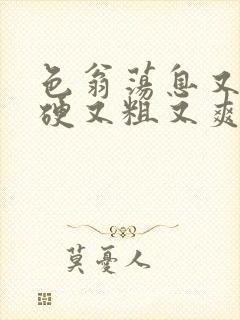 色翁荡息又大又硬又粗又爽小莹封面