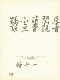 孙小萌闫辰的小说免费观看封面