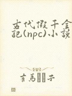 古代假千金挨日记(npc)小说