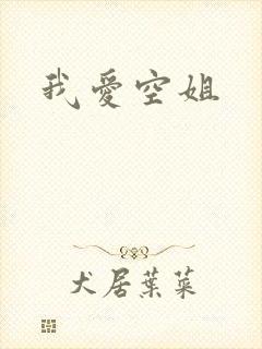 我爱空姐