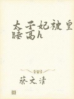 太子妃被皇上强睡高h