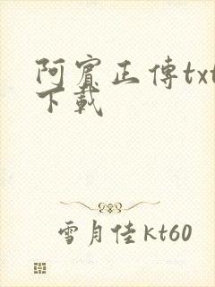 阿宾正传txt下载