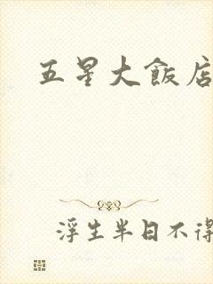 五星大饭店小说封面