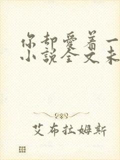 你却爱着一个他小说全文未删减免费