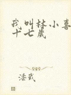 我叫林小喜今年十七岁封面