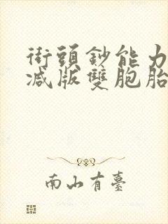 街头钞能力无删减版双胞胎