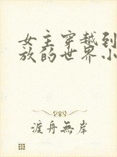 女主穿越到很开放的世界小说封面