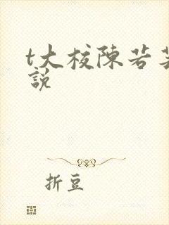 t大校陈若芸小说