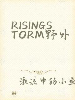 RISINGSTORM野外封面