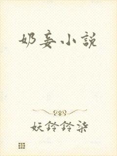 奶妾小说