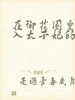 在御花园皇上进入太子妃的小说封面