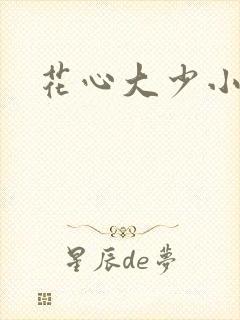 花心大少小说封面