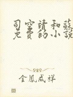 司空靖和苏月汐免费的小说笔趣阁封面