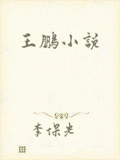 王鹏小说