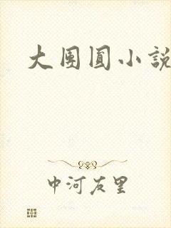 大团圆小说