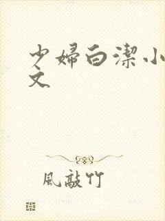 少妇白洁小说全文