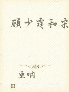 顾少霆和宋斯曼