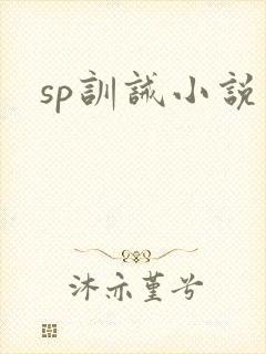sp训诫小说