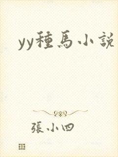 yy种马小说封面