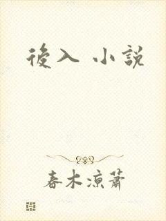 后入 小说