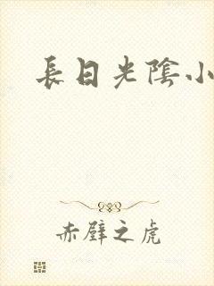 长日光阴小说