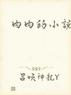 肉肉的小说