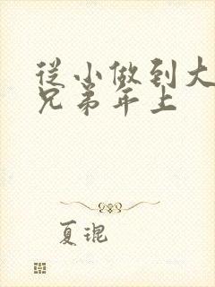 从小做到大骨科兄弟年上