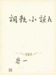 调教小说h