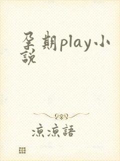 孕期play小说