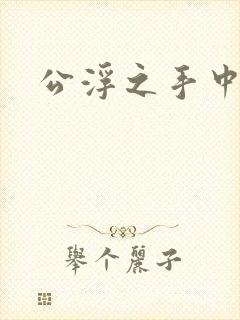 公浮之手中字5封面